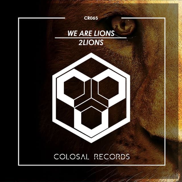 Photo de 2Lions - Artiste 
