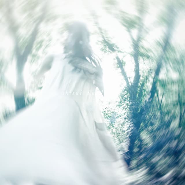 Photo de Akisai - Artiste 
