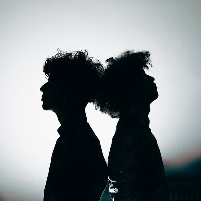 Photo de B-NØM - Artiste 