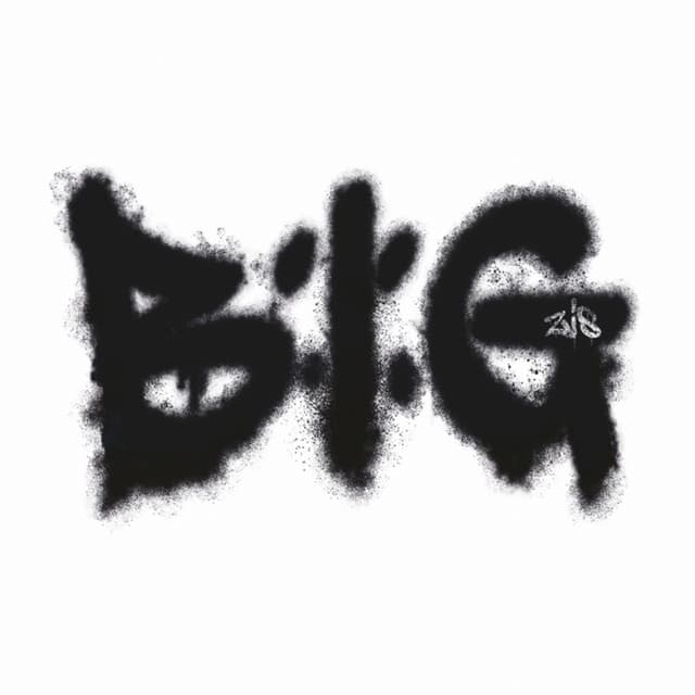 Photo de Big Zis - Artiste 