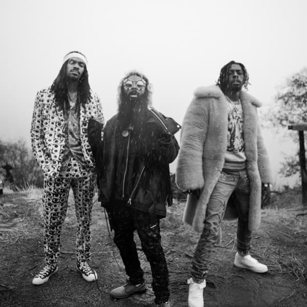 Photo de Flatbush Zombies - Artiste 
