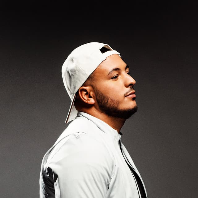 Photo de Hornet La Frappe - Artiste 