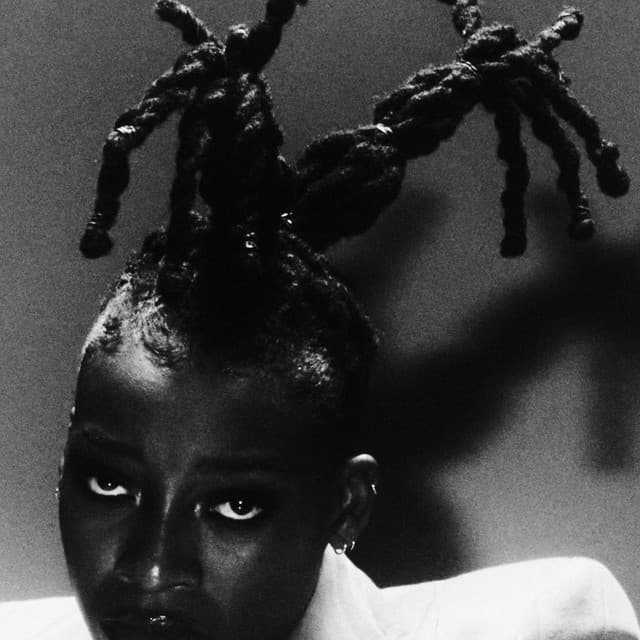 Photo de Little Simz - Artiste 
