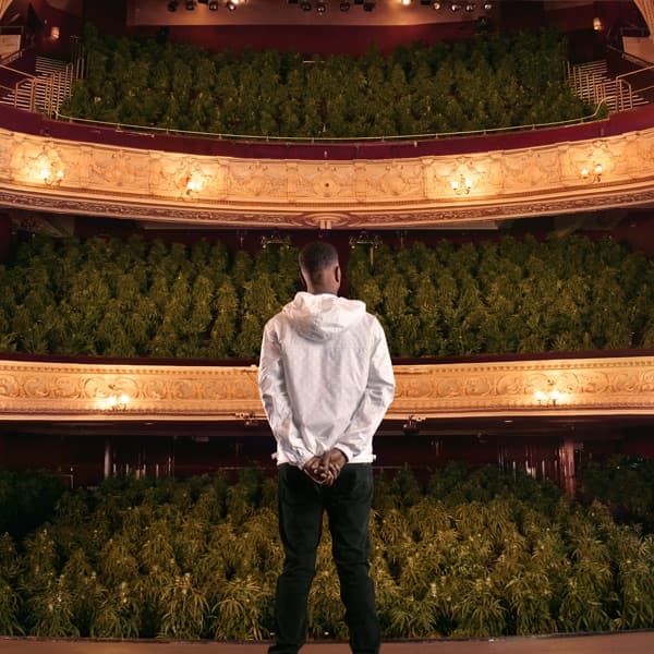 Photo de Nines - Artiste 