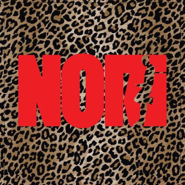 Photo de Nori - Artiste 