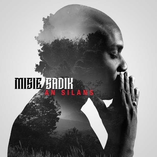 Photo de Misié Sadik - Artiste