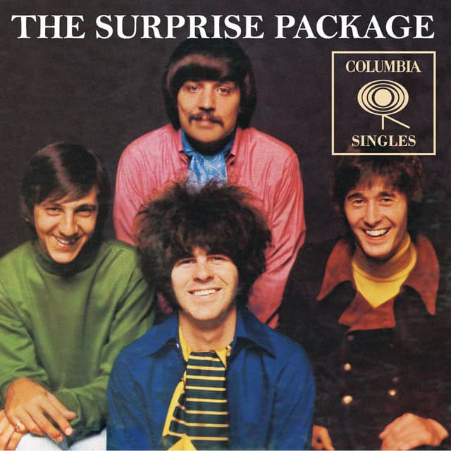 Photo de The Surprise Package - Artiste
