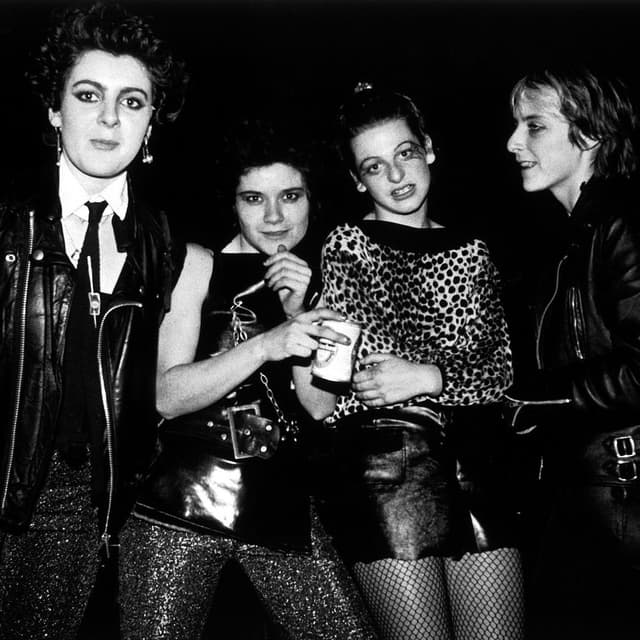 Photo de The Slits - Artiste