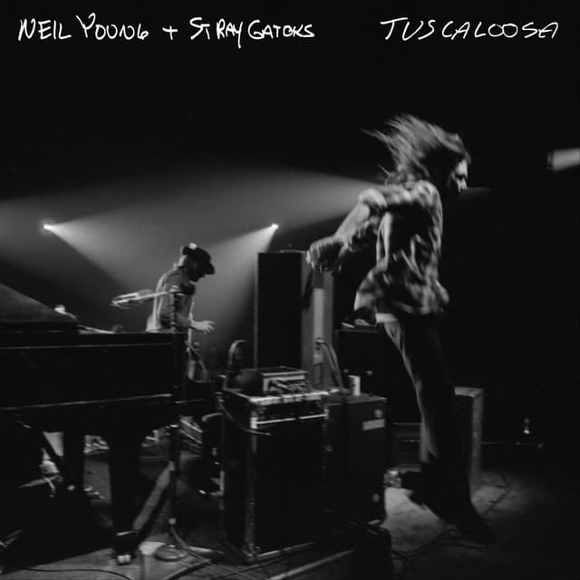 Photo de Stray Gators - Artiste