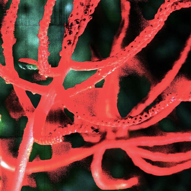 Photo de Fergus Sweetland - Artiste