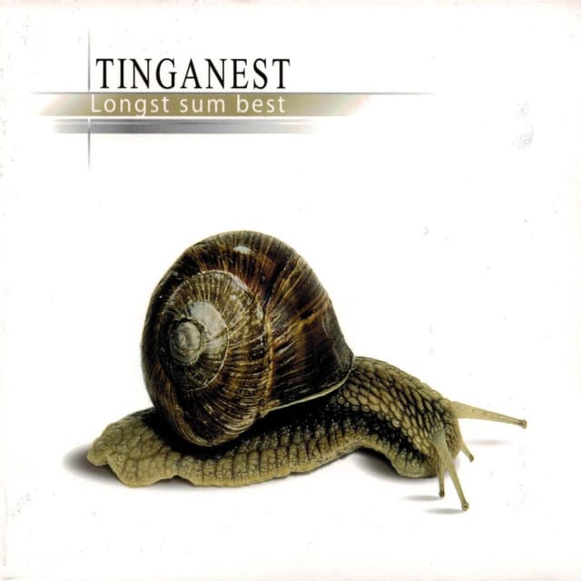 Photo de Tinganest - Artiste