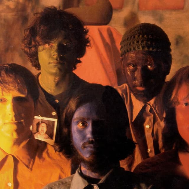 Photo de The Olivia Tremor Control - Artiste