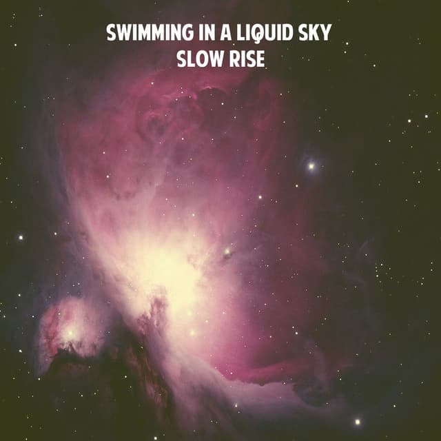 Photo de Swimming In A Liquid Sky - Artiste
