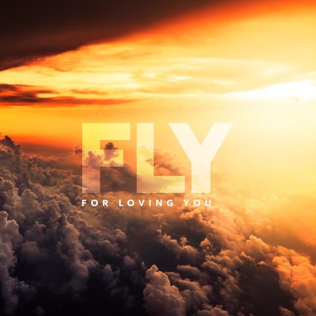 Photo de FLY For Loving You DE - Artiste
