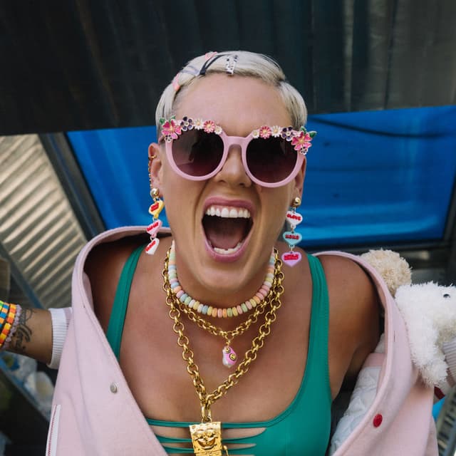 Photo de P!nk - Artiste