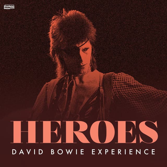 Photo de David Bowie Experience - Artiste