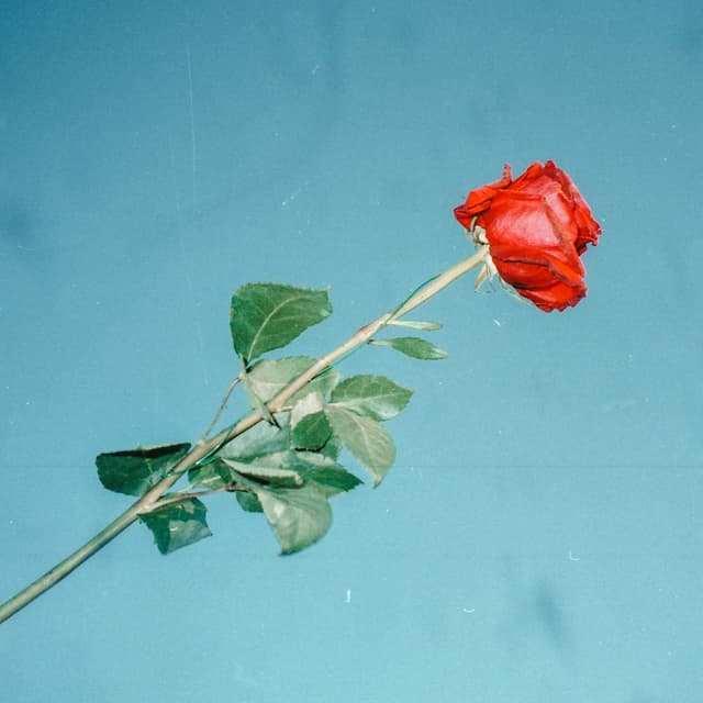 Photo de Jye - Artiste