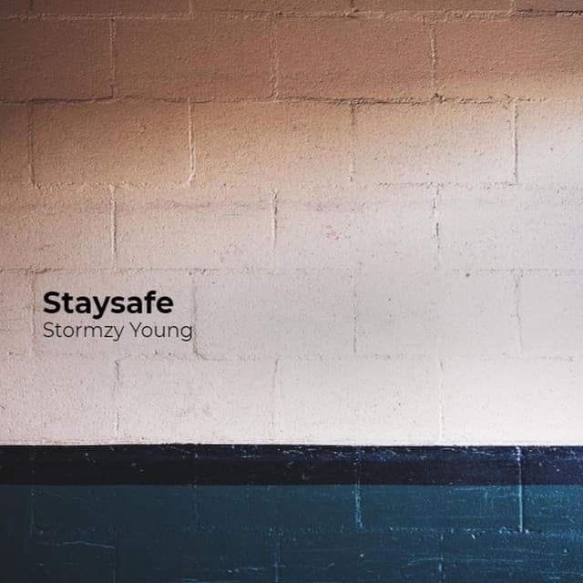 Photo de Stormzy Young - Artiste
