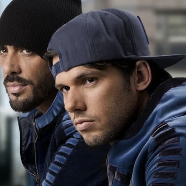 Photo de Casseurs Flowters - Artiste