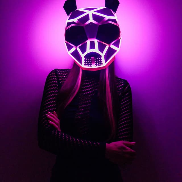 Photo de Pink Panda - Artiste