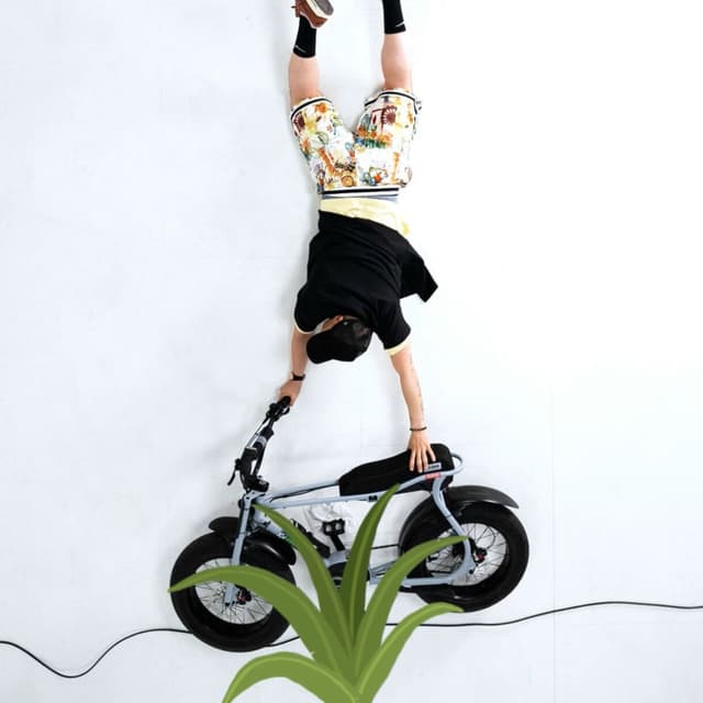 Photo de KOSE - Artiste