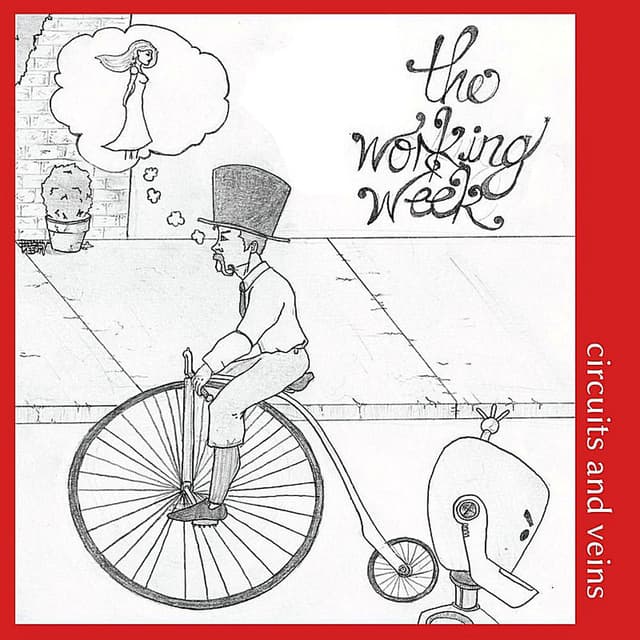 Photo de The Working Week - Artiste