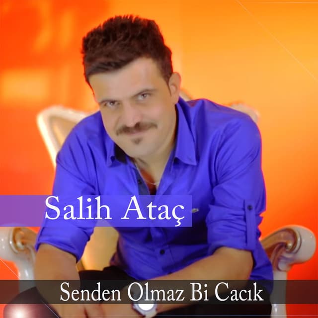 Photo de Salih Ataç - Artiste