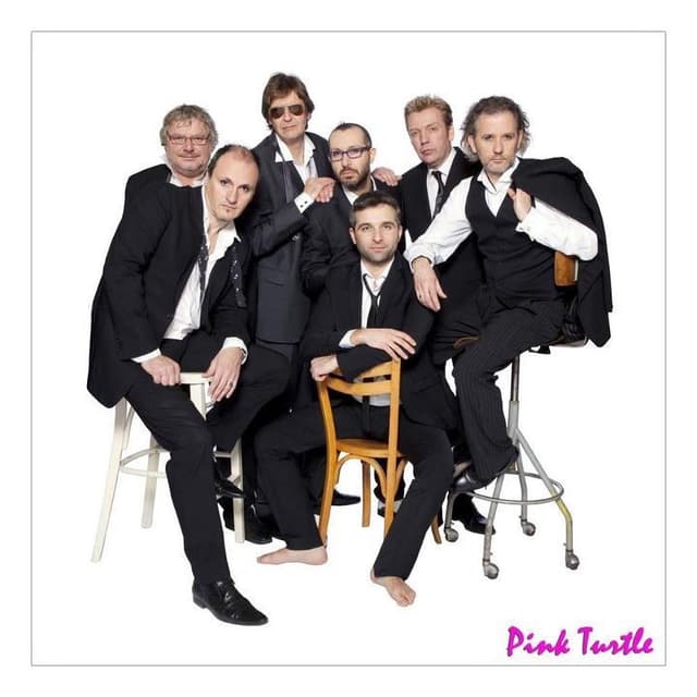 Photo de Pink Turtle - Artiste