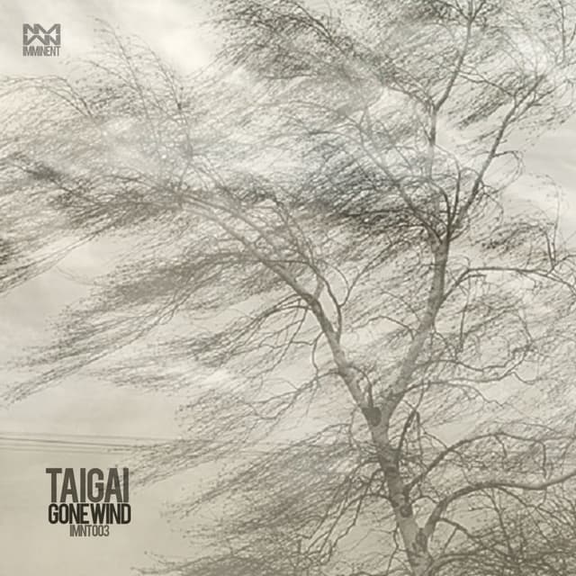 Photo de Taigai - Artiste