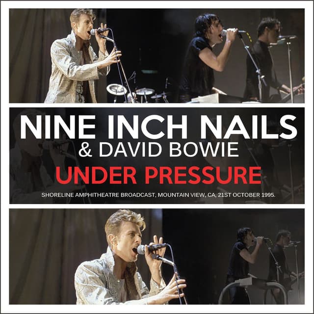 Photo de Nine Inch Nails & David Bowie - Artiste