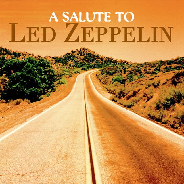Photo de The Sounds Of Led Zeppelin - Artiste