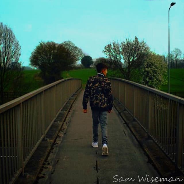 Photo de Sam Wiseman - Artiste