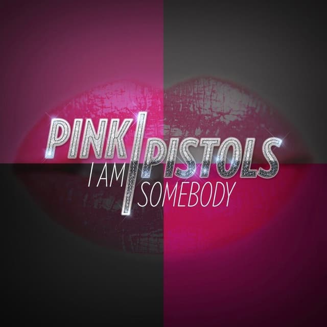 Photo de Pink Pistols - Artiste