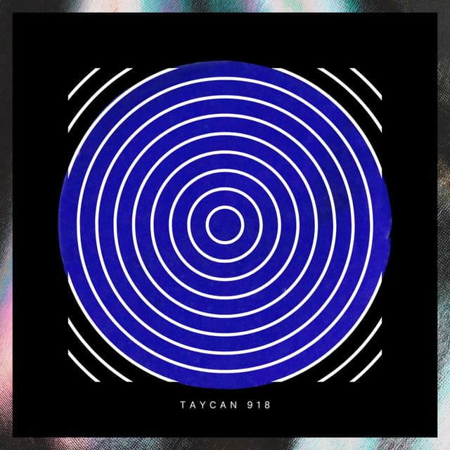 Photo de Taycan 918 - Artiste