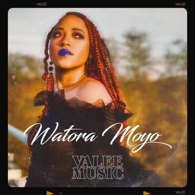 Photo de Valee Music - Artiste