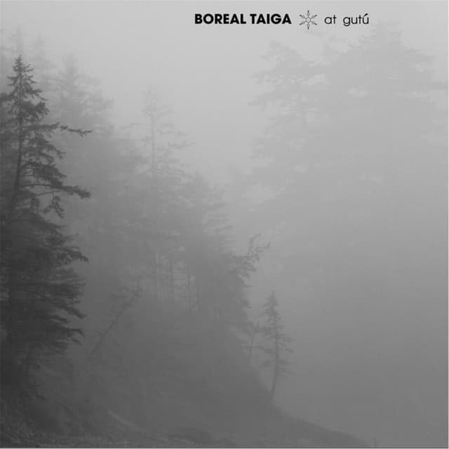Photo de Boreal Taiga - Artiste