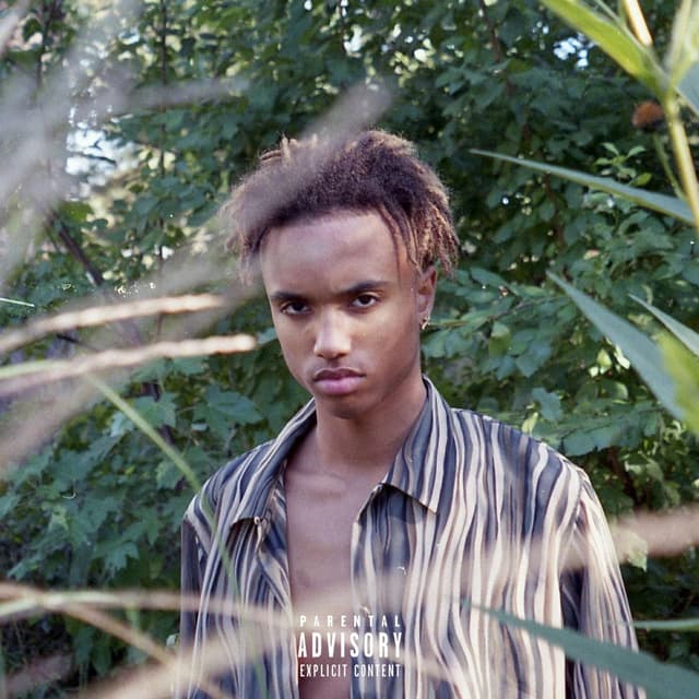 Photo de Young Røse - Artiste