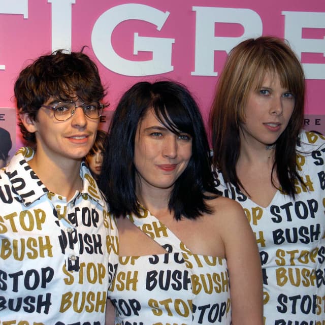 Photo de Le Tigre - Artiste