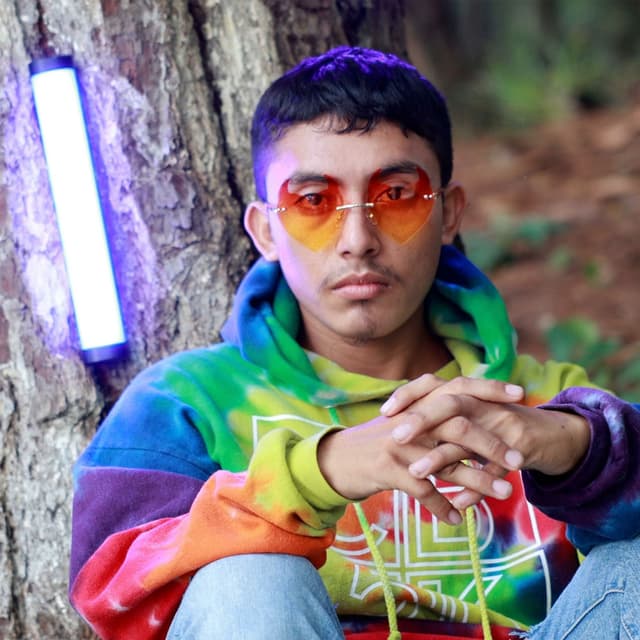 Photo de Bad Bunny Chapin - Artiste