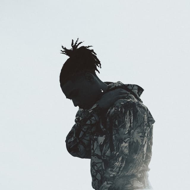 Photo de Zé - Artiste