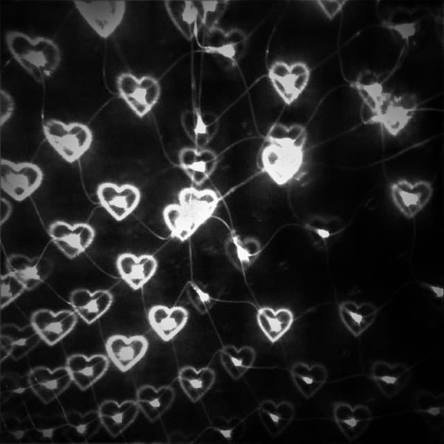 Photo de Sace - Artiste