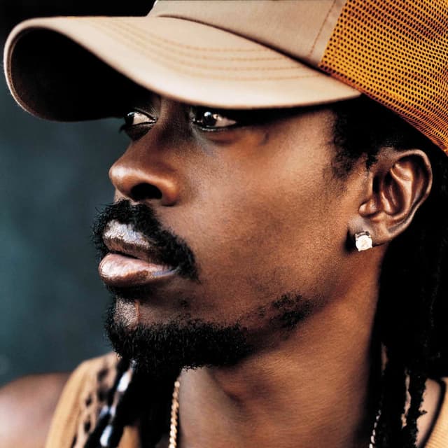Photo de Beenie Man - Artiste