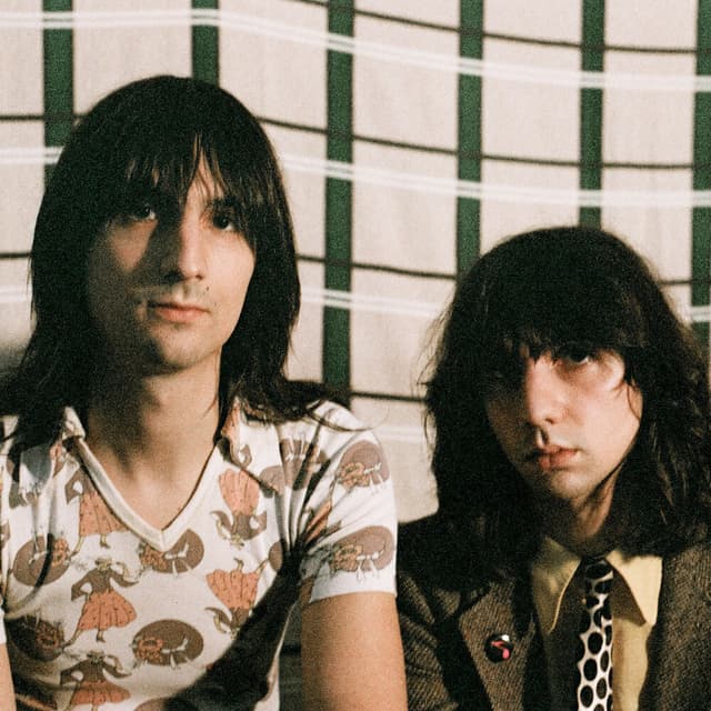 Photo de The Lemon Twigs - Artiste