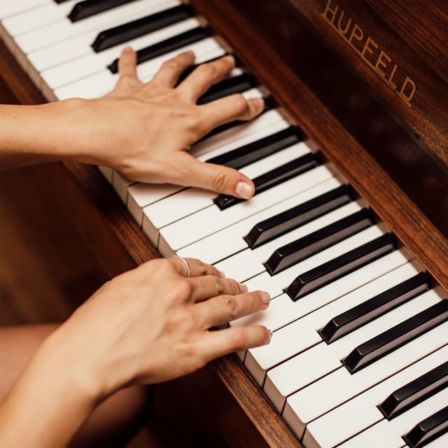 Photo de Britney Spears - Piano Covers - Artiste