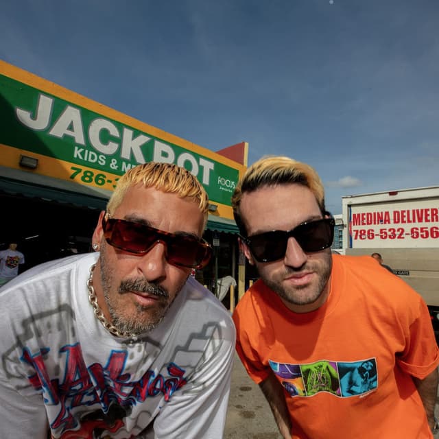 Photo de Duck Sauce - Artiste