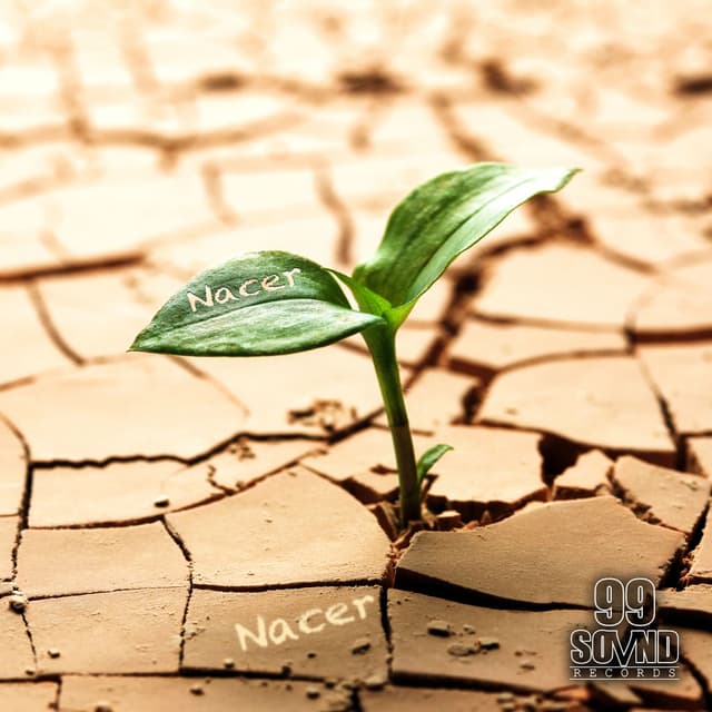 Photo de Ids Beats - Artiste
