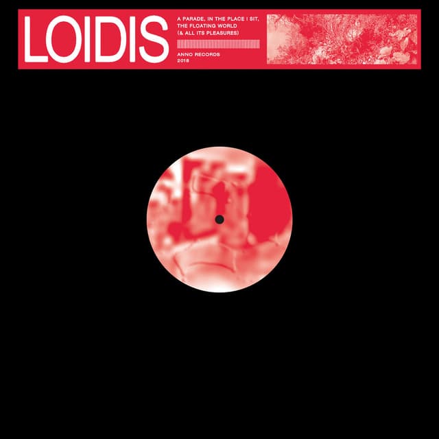 Photo de Loidis - Artiste