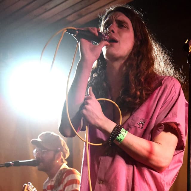 Photo de The Weeks - Artiste
