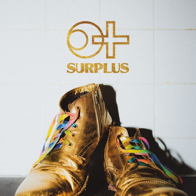 Photo de Surplus - Artiste