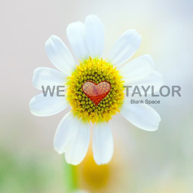 Photo de We Love Taylor Swift - Artiste